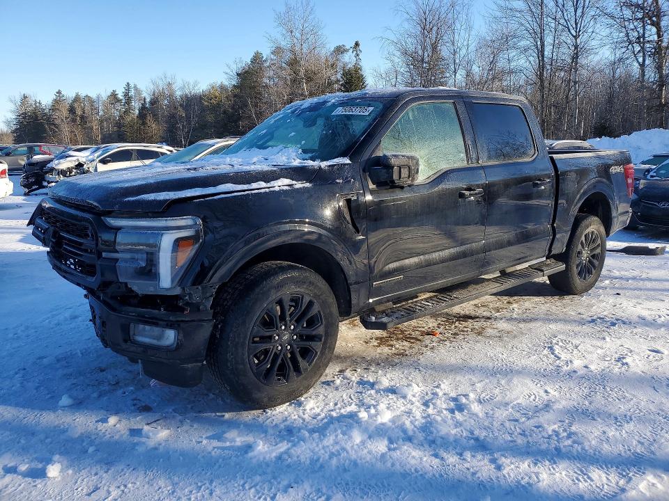 75063705 :رقم المزاد ، 1FTFW5LD8RFA65029 vin ، 2024 Ford F150 مزاد بيع