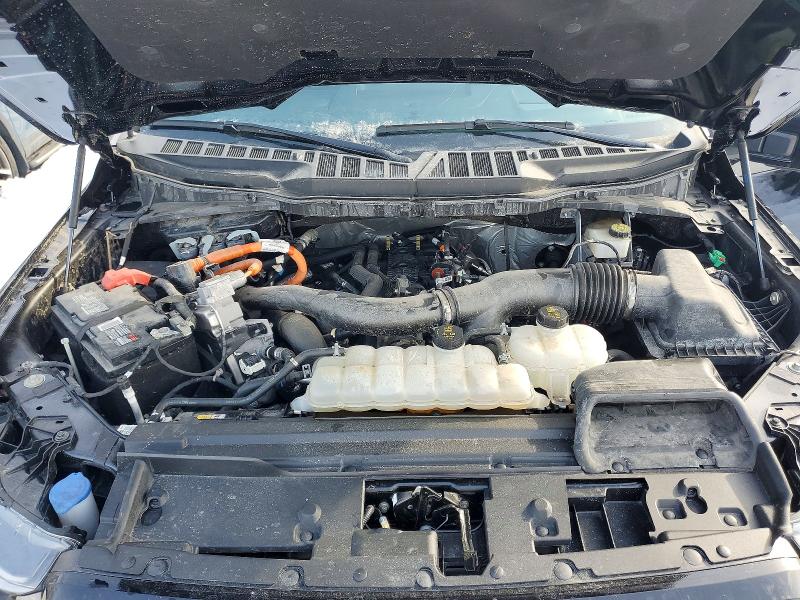 Продажа на аукционе авто 2024 Ford F150, vin: 1FTFW5LD4RFB67329, номер лота: 77679355