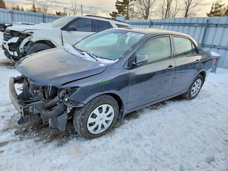 Продаж на аукціоні авто 2010 Toyota Corolla, vin: 2T1BU4EE1AC197468, номер лоту: 76018665