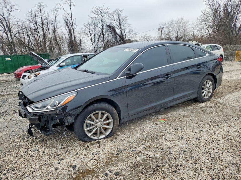 Продаж на аукціоні авто 2019 Hyundai Sonata, vin: 5NPE24AF2KH817762, номер лоту: 77534335