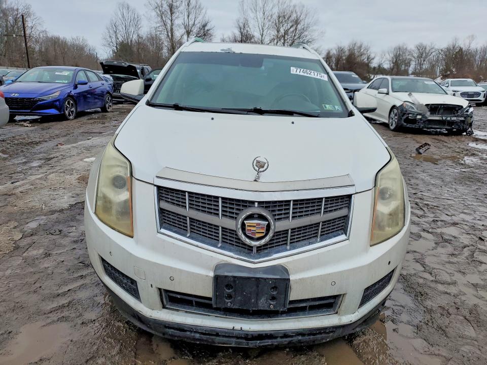 Продажа на аукционе авто 2012 Cadillac Srx, vin: 3GYFNAE37CS584523, номер лота: 77462175