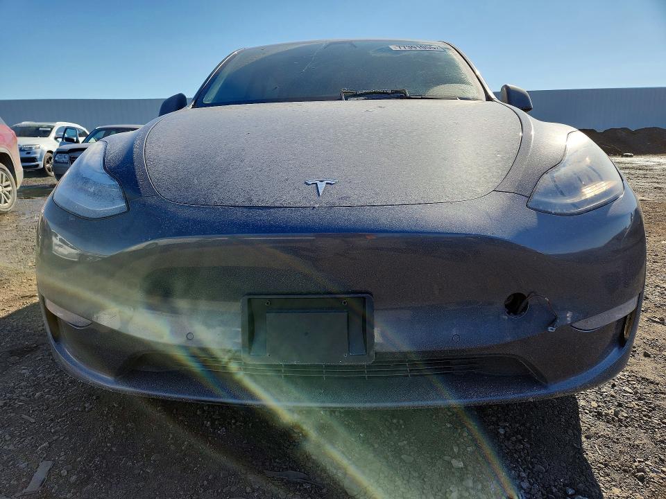 2021 Tesla Model Y მანქანა იყიდება აუქციონზე, vin: 5YJYGDEE0MF185569, აუქციონის ნომერი: 77391055