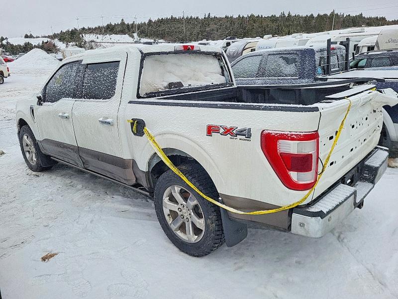 74041695 :رقم المزاد ، 1FTFW1E84MFA75249 vin ، 2021 Ford F150 مزاد بيع