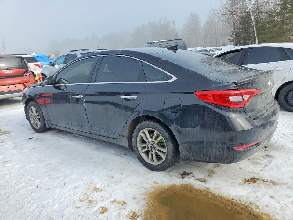 Продаж на аукціоні авто 2016 Hyundai Sonata, vin: 5NPE24AF8GH409600, номер лоту: 77303535