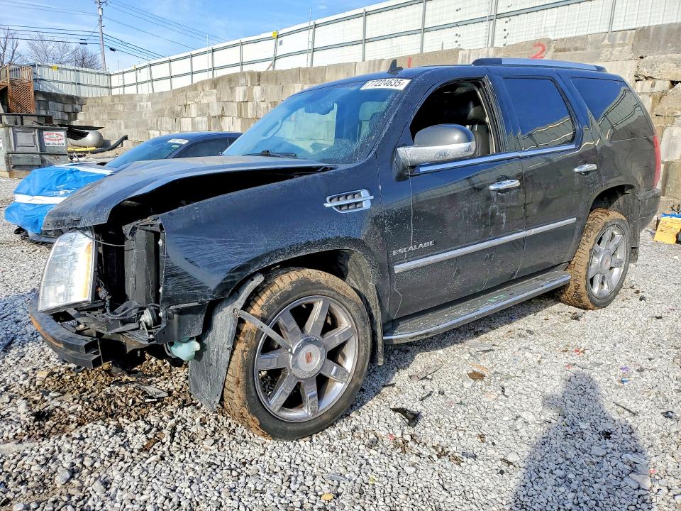 Продаж на аукціоні авто 2013 Cadillac Escalade, vin: 1GYS4BEF0DR318105, номер лоту: 77224635