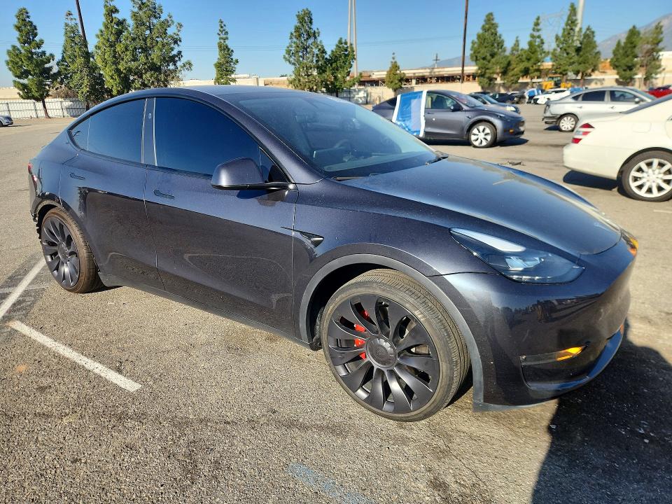Продаж на аукціоні авто 2024 Tesla Model Y, vin: 7SAYGDEF3RF089972, номер лоту: 75368685