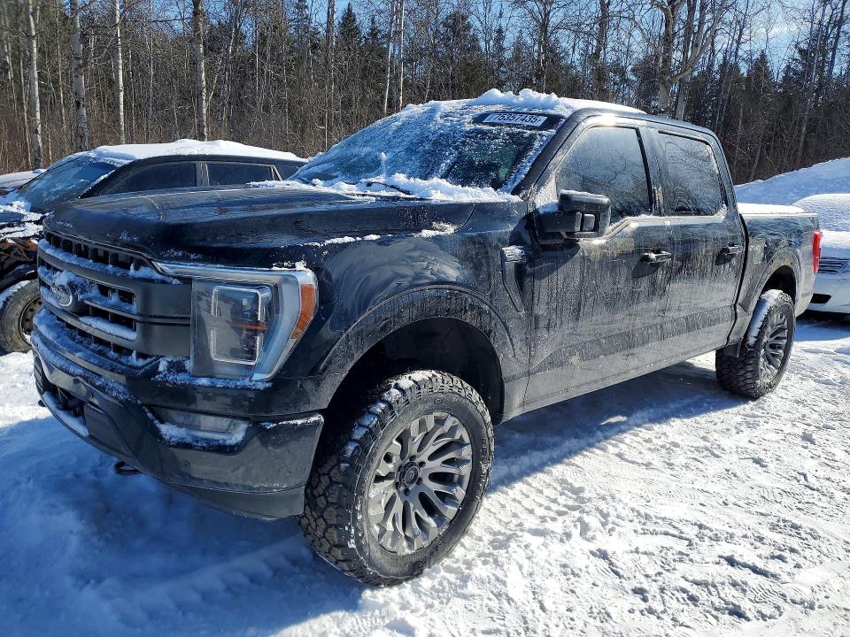 Auction sale of the 2023 Ford F150, vin: 1FTEW1EP2PKF34650, lot number: 75357435
