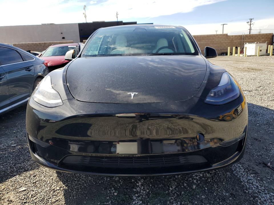 Aukcja sprzedaży 2023 Tesla Model Y, vin: 7SAYGDEE4PF745763, numer aukcji: 76968695
