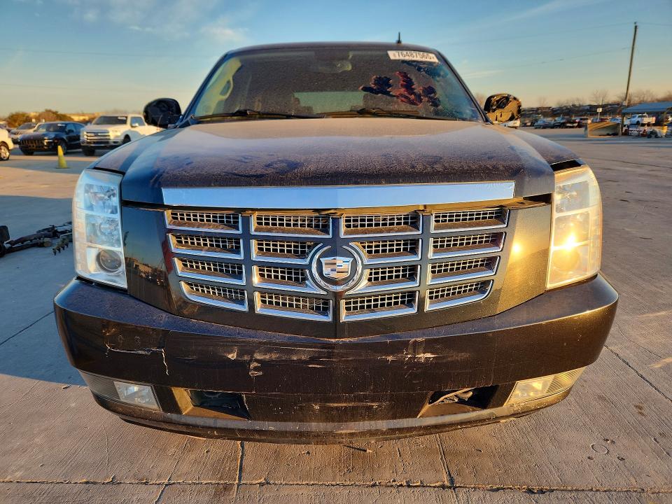 76487565 :رقم المزاد ، 1GYUKAEF5AR249769 vin ، 2010 Cadillac Escalade مزاد بيع