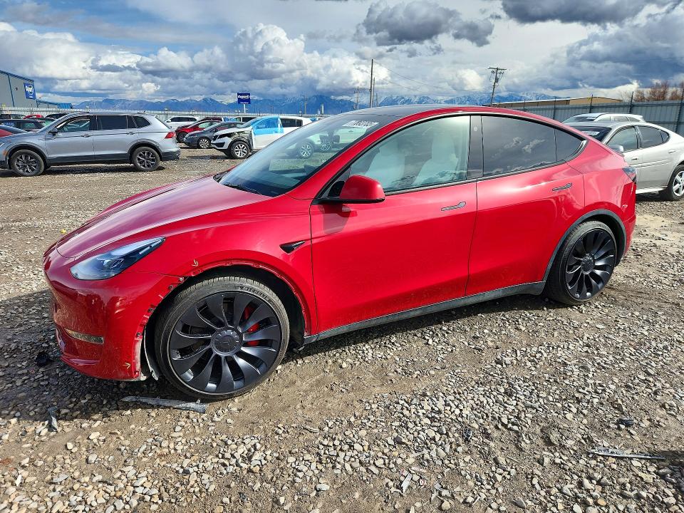 Продаж на аукціоні авто 2023 Tesla Model Y, vin: 7SAYGDEF6PF779776, номер лоту: 77893705