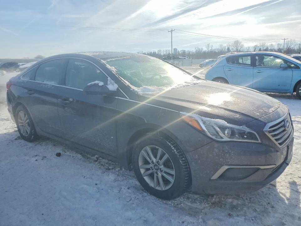 Продаж на аукціоні авто 2017 Hyundai Sonata, vin: 5NPE24AF9HH505026, номер лоту: 75555765