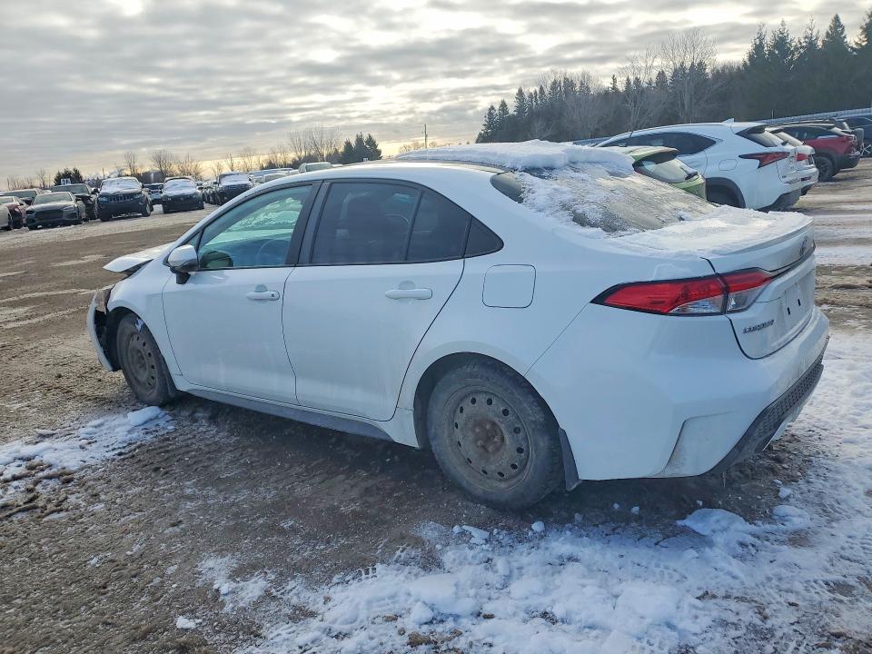 77501425 :رقم المزاد ، 5YFB4MBE3MP081388 vin ، 2021 Toyota Corolla مزاد بيع