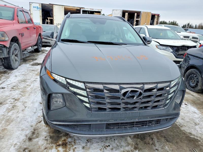 2023 Hyundai Tucson მანქანა იყიდება აუქციონზე, vin: KM8JCCA12PU129344, აუქციონის ნომერი: 76928965