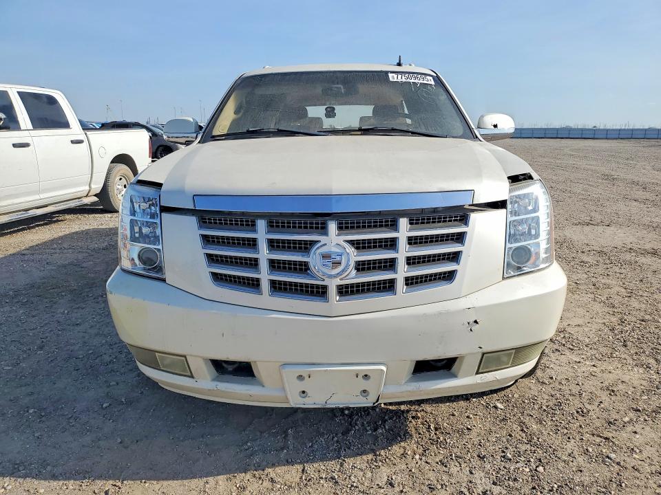 Продаж на аукціоні авто 2008 Cadillac Escalade, vin: 1GYFK668X8R116716, номер лоту: 77509695