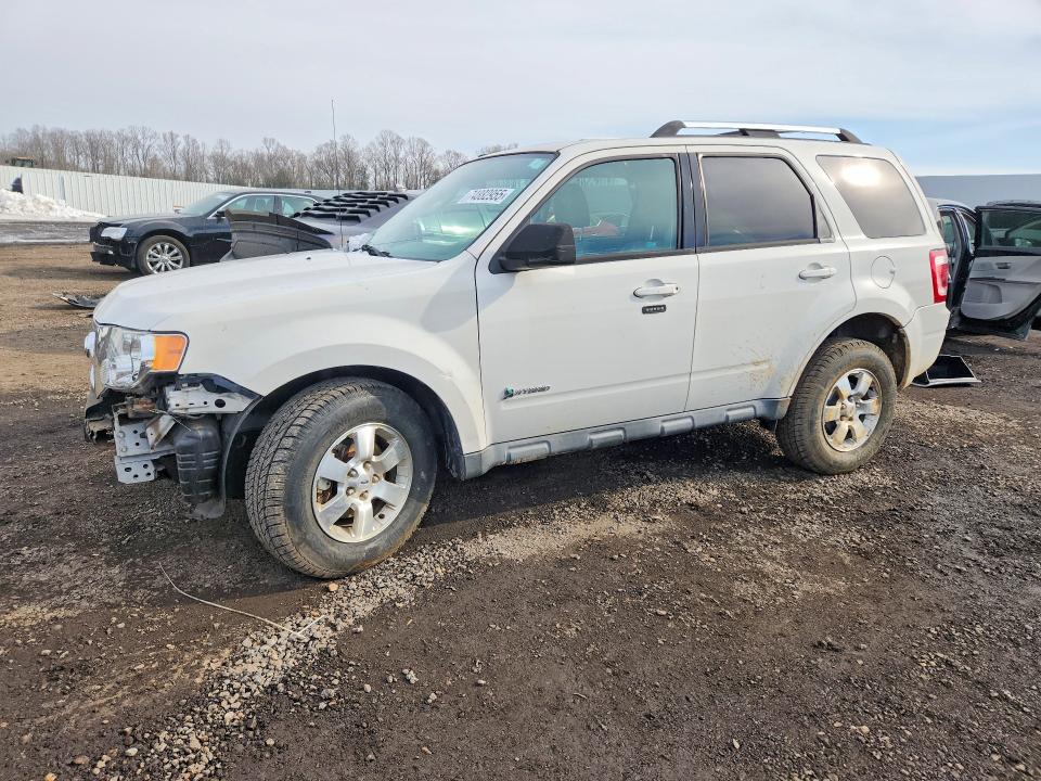 Продаж на аукціоні авто 2010 Ford Escape, vin: 1FMCU5K34AKB20973, номер лоту: 74882955