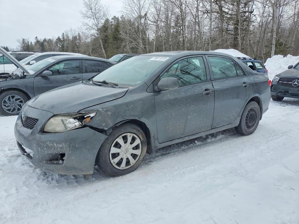 Auction sale of the 2010 Toyota Corolla, vin: 2T1BU4EEXAC494822, lot number: 78611015