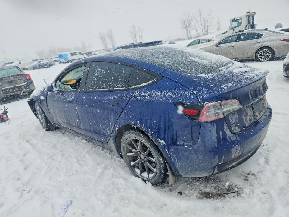 2023 Tesla Model 3 მანქანა იყიდება აუქციონზე, vin: 5YJ3E1EA2PF491169, აუქციონის ნომერი: 78505705