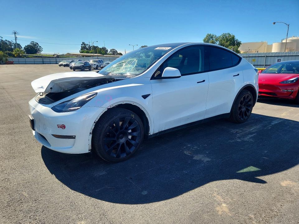 Aukcja sprzedaży 2023 Tesla Model Y, vin: 7SAYGDEE7PF692976, numer aukcji: 78853245