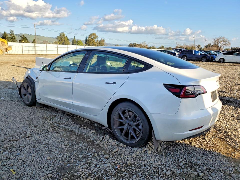 Auction sale of the 2023 Tesla Model 3, vin: 5YJ3E1EA4PF491254, lot number: 77142465