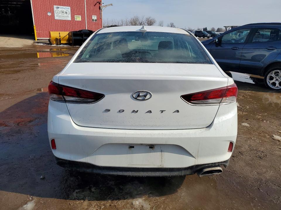 79163535 :رقم المزاد ، 5NPE24AF6KH789528 vin ، 2019 Hyundai Sonata مزاد بيع