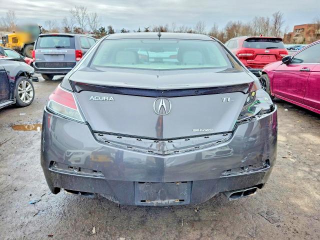 Aukcja sprzedaży 2010 Acura Tl, vin: 19UUA9F52AA008829, numer aukcji: 77658325