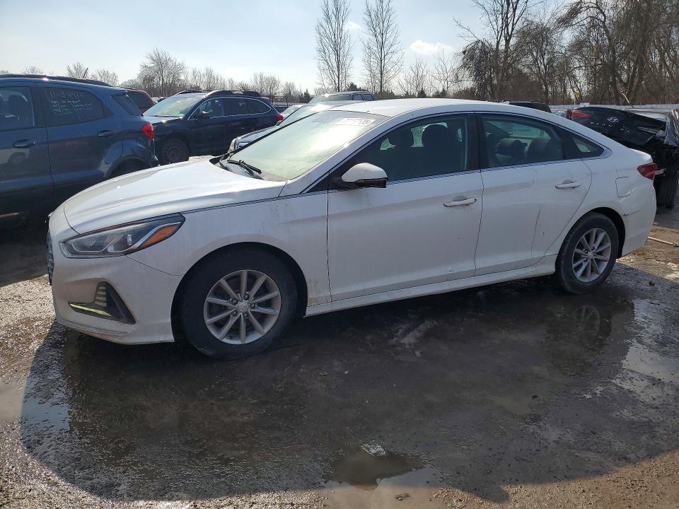 79163535 :رقم المزاد ، 5NPE24AF6KH789528 vin ، 2019 Hyundai Sonata مزاد بيع
