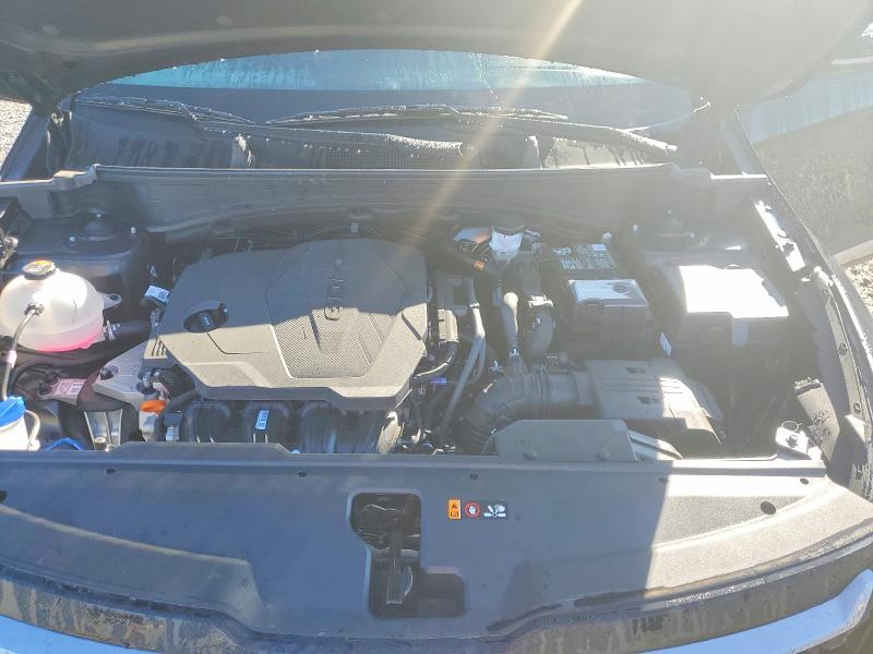 79197965 :رقم المزاد ، 5XYK23DF3TG398144 vin ، 2026 Kia Sportage مزاد بيع
