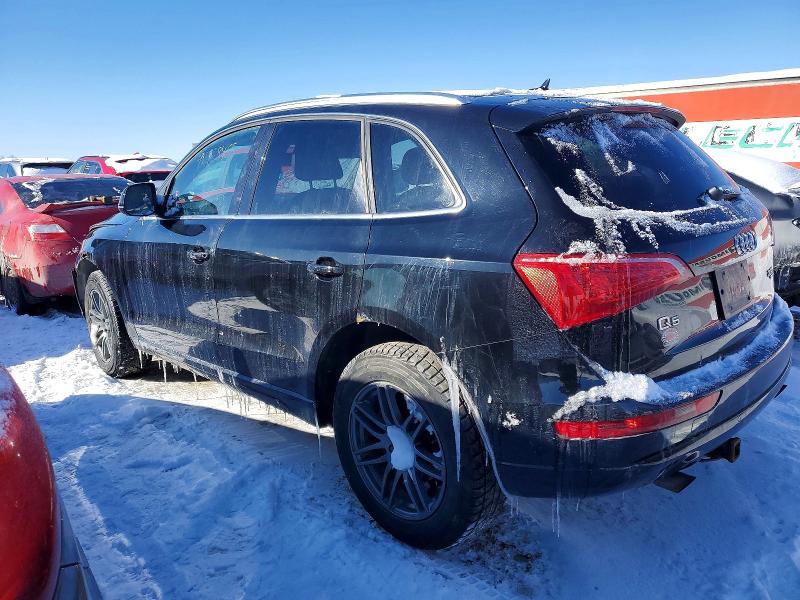 96968465 :رقم المزاد ، WA1LFCFP8BA114465 vin ، 2011 Audi Q5 مزاد بيع