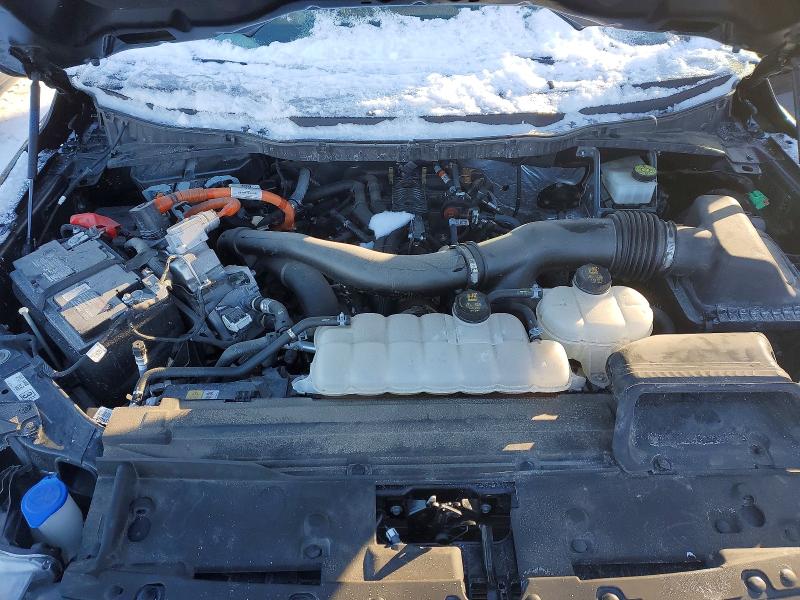 Продажа на аукционе авто 2024 Ford F150, vin: 1FTFW5LD8RFA65029, номер лота: 75063705