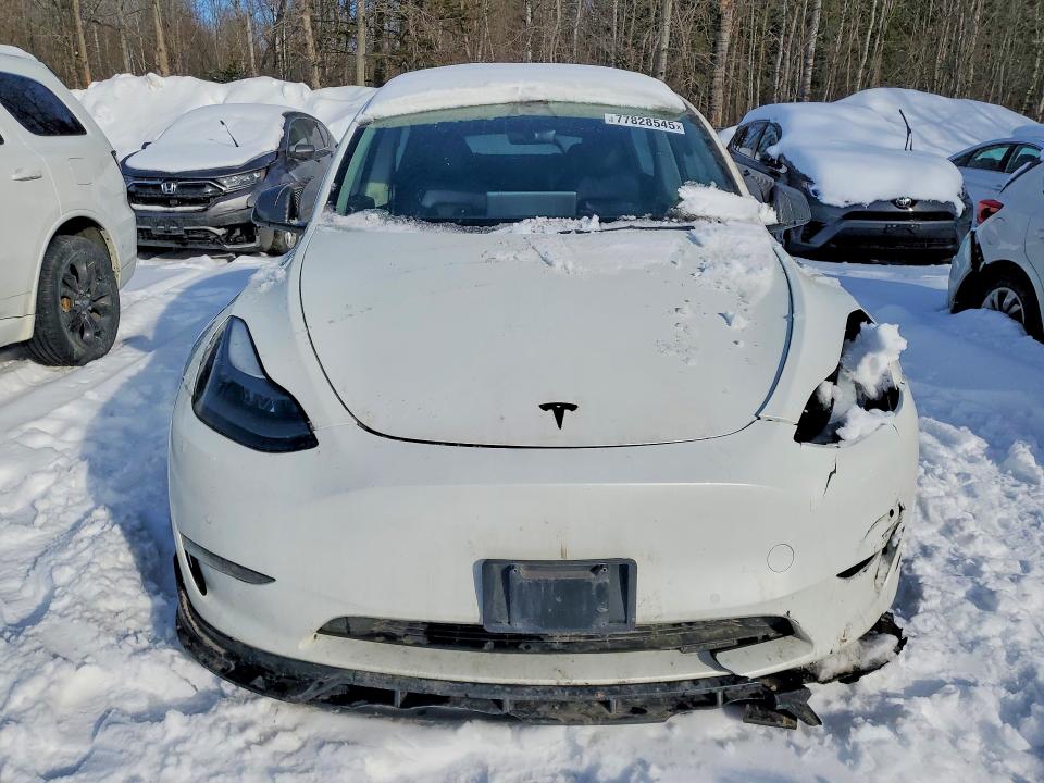 Продажа на аукционе авто 2022 Tesla Model Y, vin: 7SAYGDEF4NF318699, номер лота: 77828545