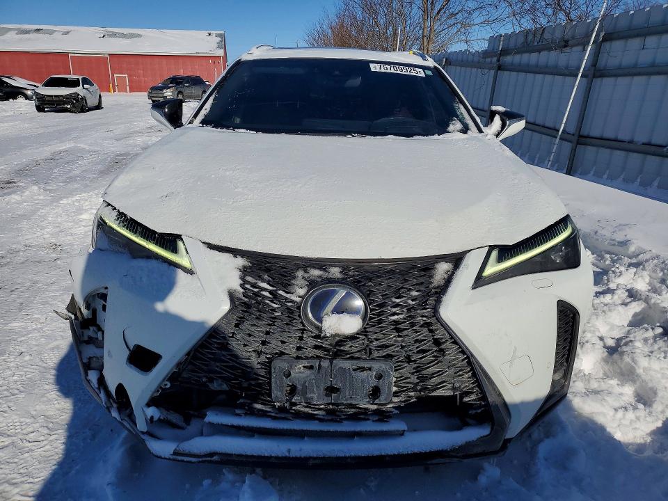 Aukcja sprzedaży 2020 Lexus Ux, vin: JTHR9JBH5L2028373, numer aukcji: 75709925