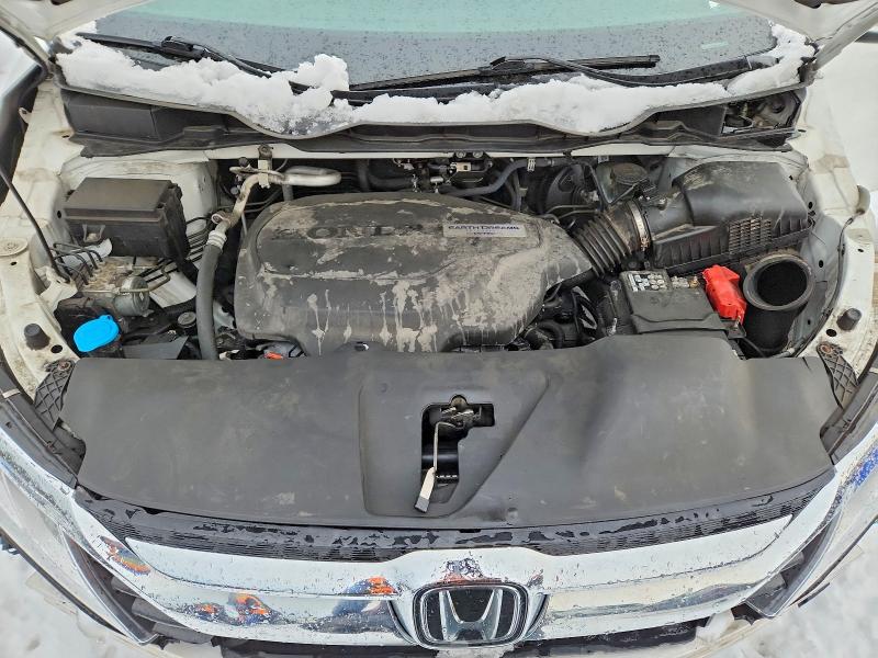 Продаж на аукціоні авто 2020 Honda Odyssey, vin: 5FNRL6H64LB505541, номер лоту: 99719475