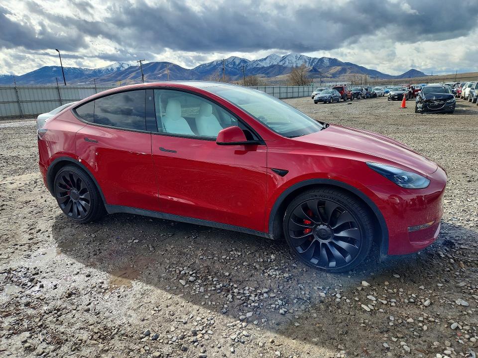 Продаж на аукціоні авто 2023 Tesla Model Y, vin: 7SAYGDEF6PF779776, номер лоту: 77893705