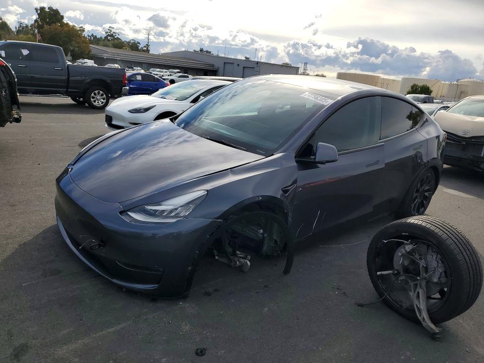 Aukcja sprzedaży 2023 Tesla Model Y, vin: 7SAYGDEE3PF584709, numer aukcji: 77798305