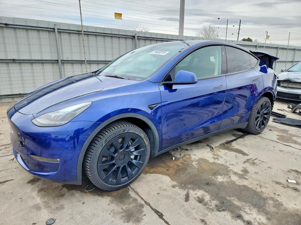 Продаж на аукціоні авто 2024 Tesla Model Y, vin: 7SAYGDEE2RF986465, номер лоту: 74483315