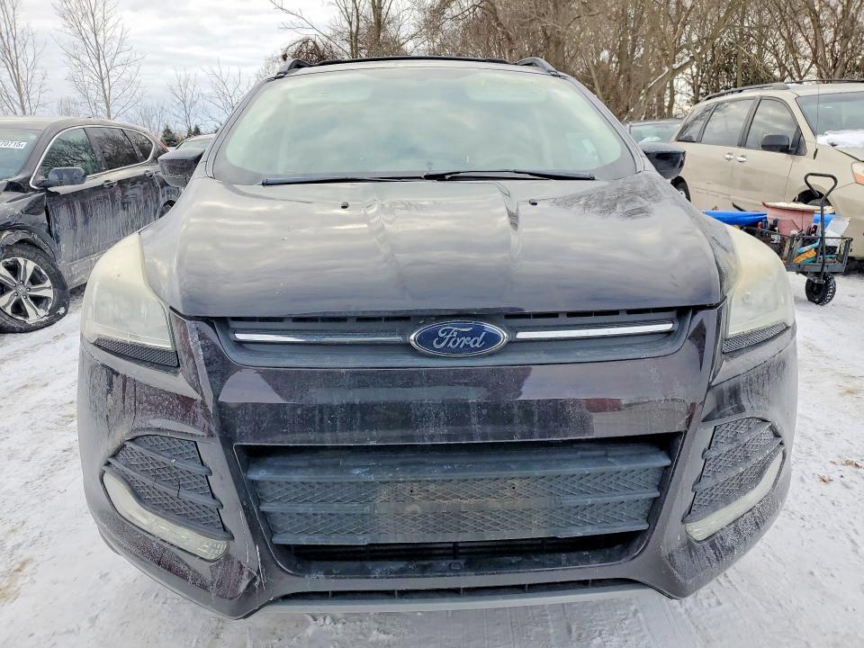 76267065 :رقم المزاد ، 1FMCU0G91DUC49536 vin ، 2013 Ford Escape مزاد بيع