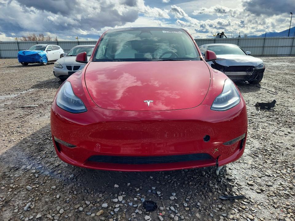 Продаж на аукціоні авто 2023 Tesla Model Y, vin: 7SAYGDEF6PF779776, номер лоту: 77893705