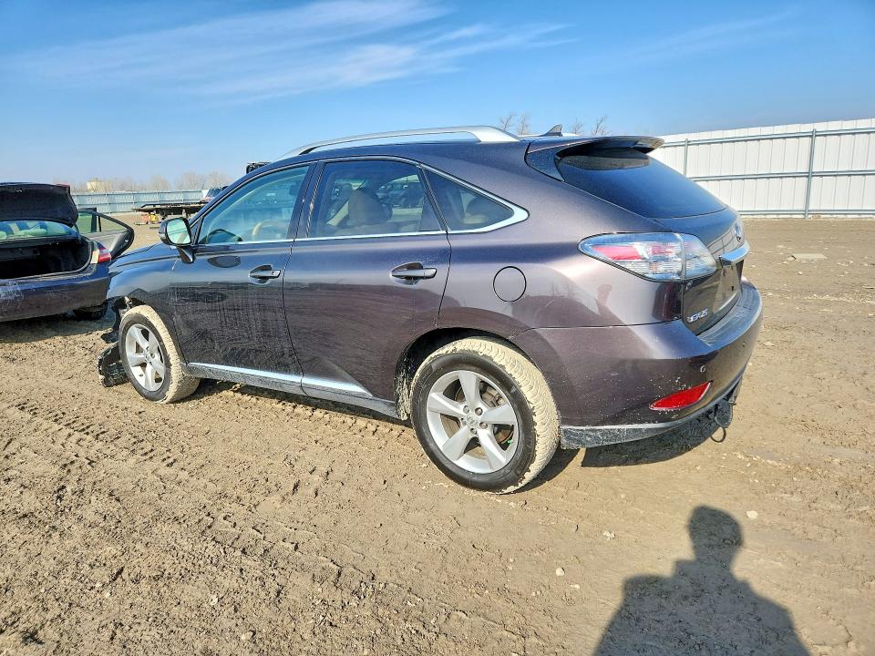 77495265 :رقم المزاد ، 2T2BK1BAXAC041110 vin ، 2010 Lexus Rx 350 مزاد بيع