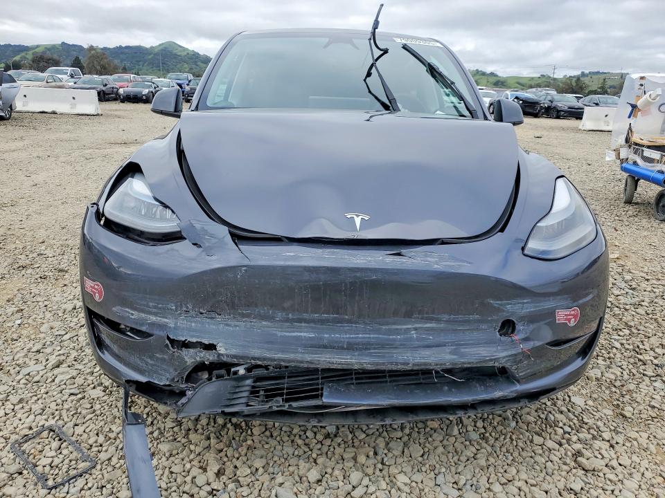 Продажа на аукционе авто 2023 Tesla Model Y, vin: 7SAYGDED4PF971843, номер лота: 79009305