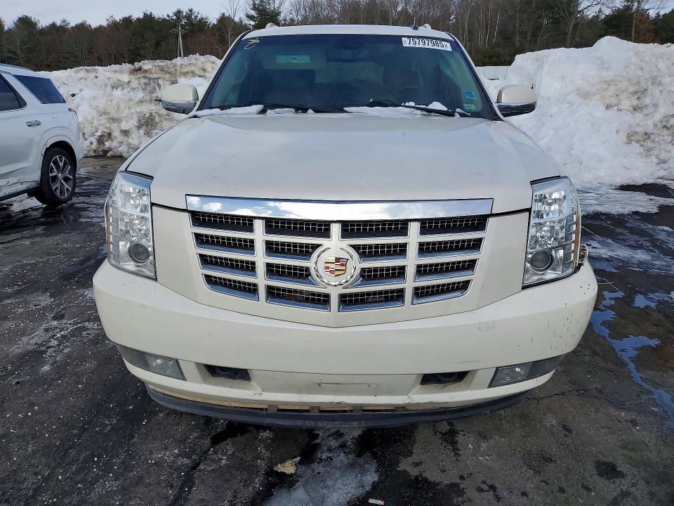 2010 Cadillac Escalade მანქანა იყიდება აუქციონზე, vin: 1GYUKJEF8AR209184, აუქციონის ნომერი: 75797985