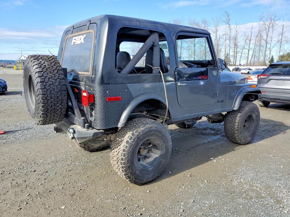 Aukcja sprzedaży 1976 Jeep Wrangler, vin: J6A93EH030948, numer aukcji: 77942585