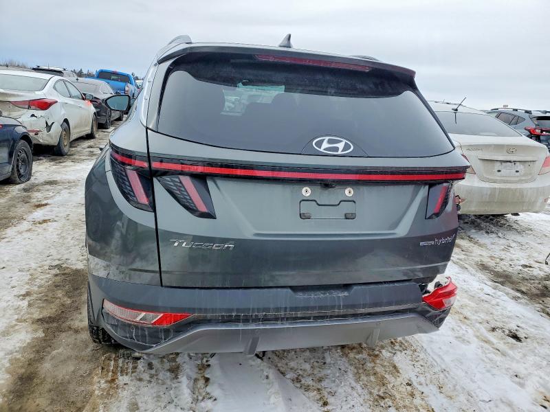 2023 Hyundai Tucson მანქანა იყიდება აუქციონზე, vin: KM8JCCA12PU129344, აუქციონის ნომერი: 76928965