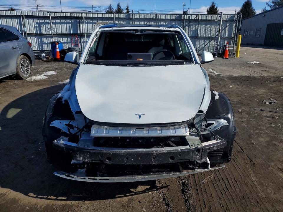 Aukcja sprzedaży 2025 Tesla Model Y, vin: 7SAYGDED7SF260310, numer aukcji: 77791535