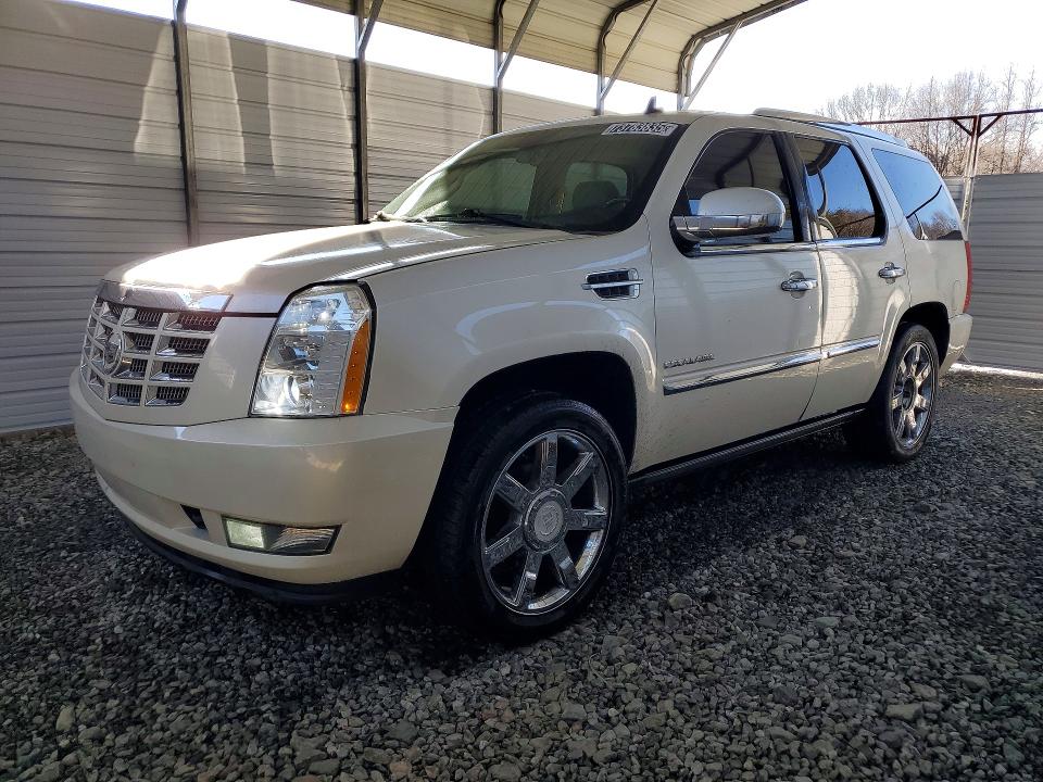 Auction sale of the 2011 Cadillac Escalade, vin: 1GYS3CEF5BR103079, lot number: 73783835