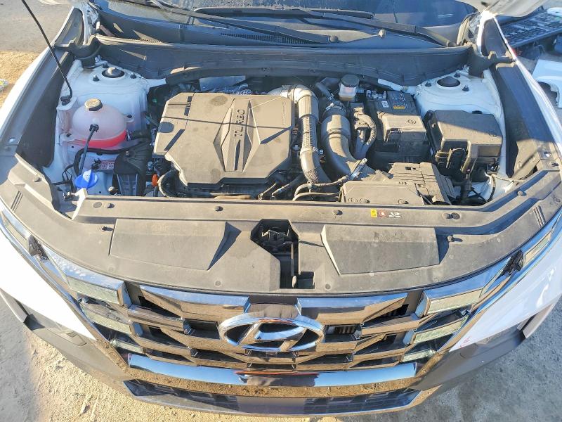 2024 Hyundai Santa Cruz მანქანა იყიდება აუქციონზე, vin: 5NTJEDAF2RH095517, აუქციონის ნომერი: 77390045