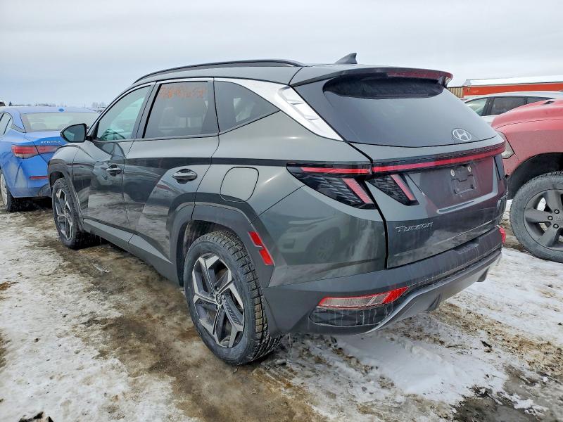 2023 Hyundai Tucson მანქანა იყიდება აუქციონზე, vin: KM8JCCA12PU129344, აუქციონის ნომერი: 76928965