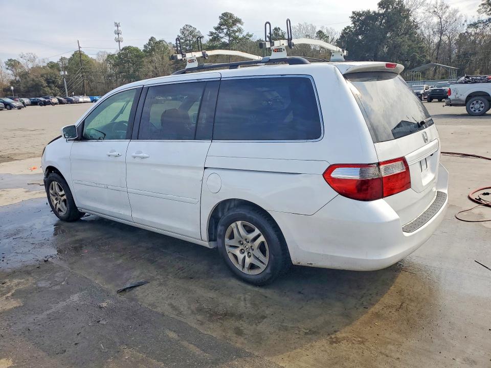 76487825 :رقم المزاد ، 5FNRL387X5B098626 vin ، 2005 Honda Odyssey مزاد بيع