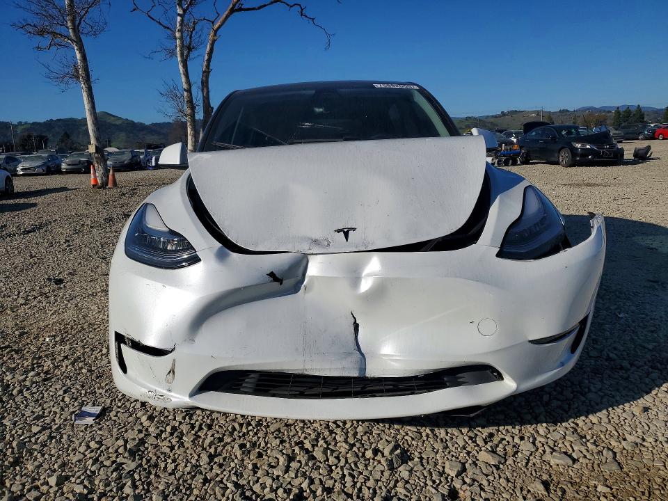 2023 Tesla Model Y მანქანა იყიდება აუქციონზე, vin: 7SAYGDEE4PA053175, აუქციონის ნომერი: 75882655