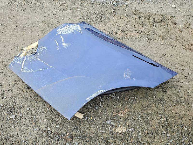 Продаж на аукціоні авто 2024 Tesla Model Y, vin: 7SAYGAEEXRF982646, номер лоту: 74909145