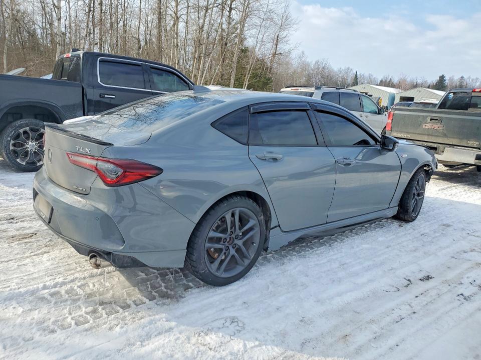 Продаж на аукціоні авто 2025 Acura Tlx, vin: 19UUB6F52SA800167, номер лоту: 77034745